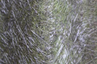 East Studdal fibreglass roof work